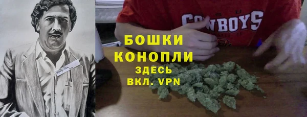 PSILOCYBIN Беломорск