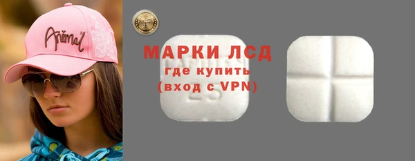 PSILOCYBIN Беломорск