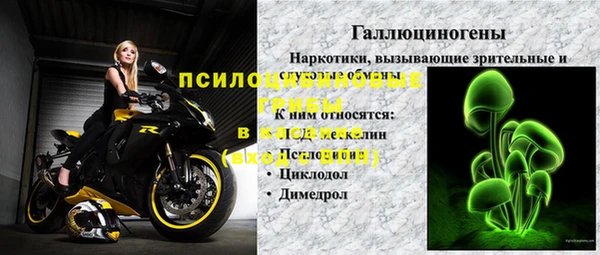 PSILOCYBIN Беломорск
