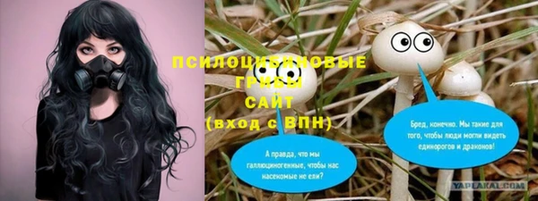 PSILOCYBIN Беломорск